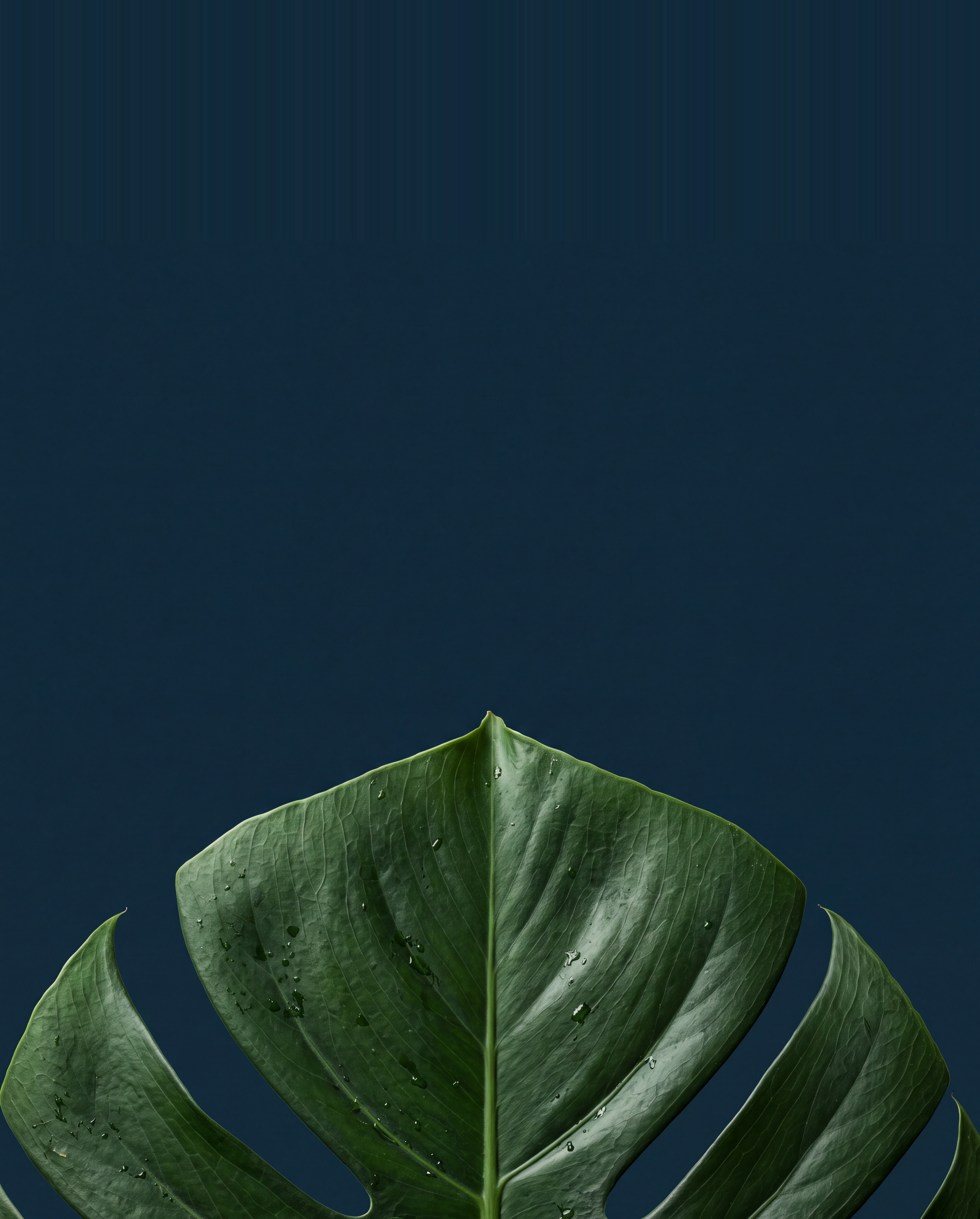 Image Enhancements