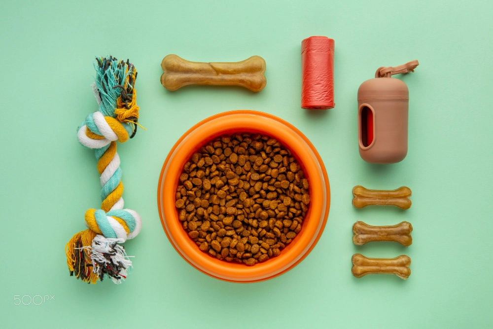 Pet food campaign concept with an orange bowl and accessories on a mint backdrop